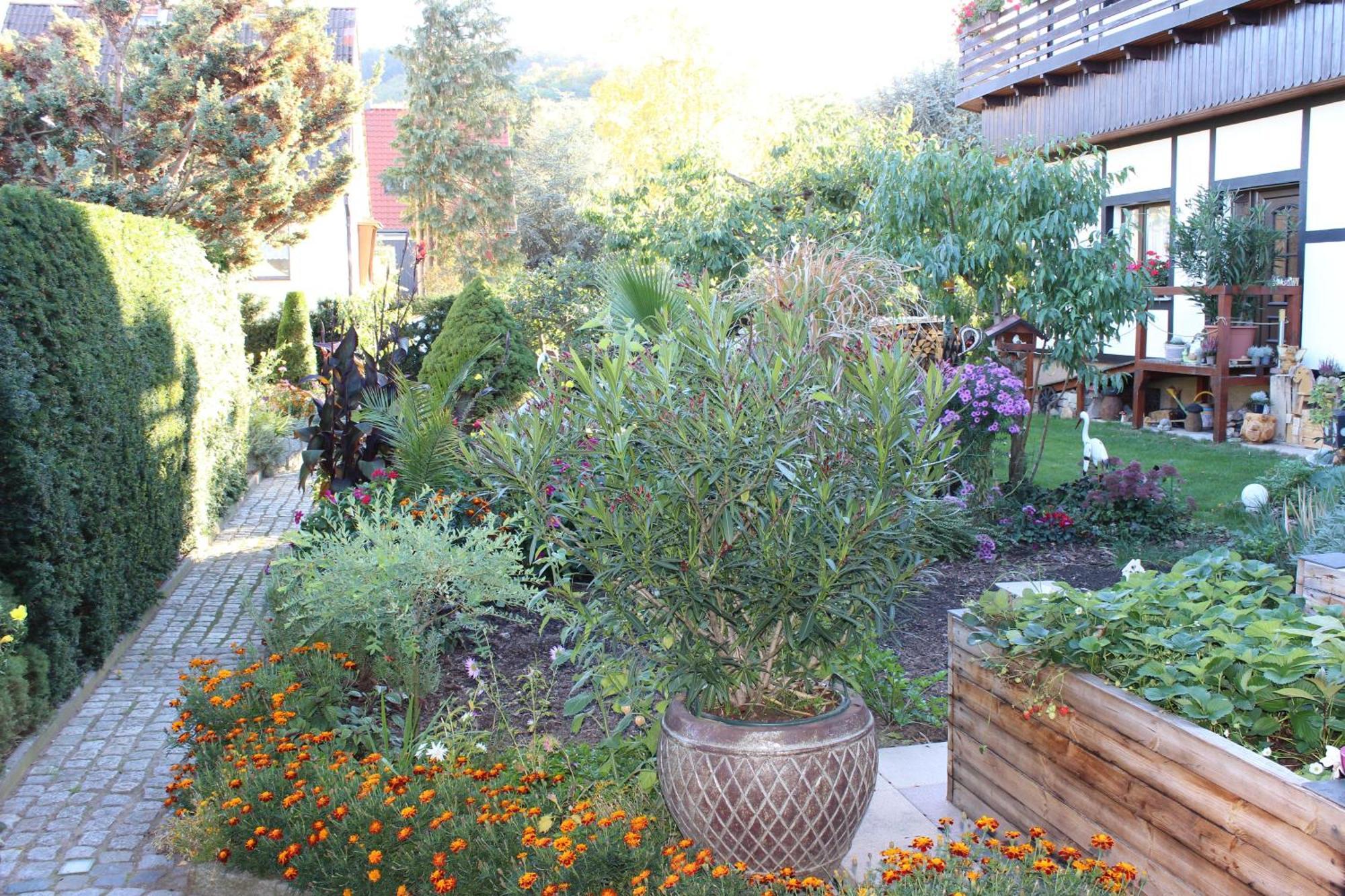 Ferienobjekte Familie Beck Διαμέρισμα Blankenburg  Εξωτερικό φωτογραφία